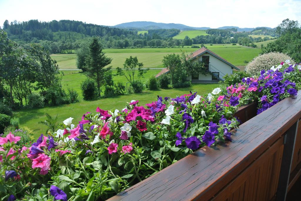 Haus Am Waldrand - Ferienwohnung Augustin Графенау Экстерьер фото