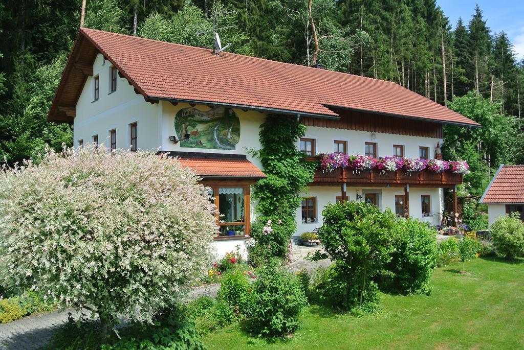Haus Am Waldrand - Ferienwohnung Augustin Графенау Экстерьер фото